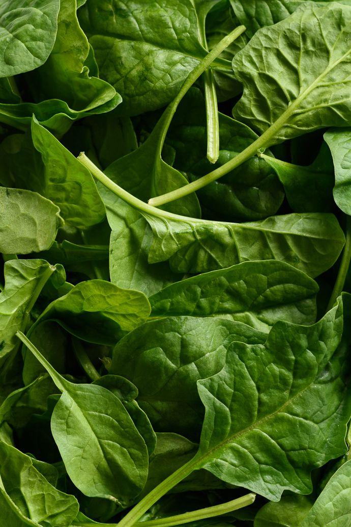 Garden Bounty: Fresh-Picked Veggie Medley