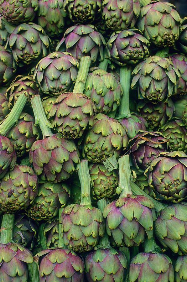 Green Bliss: Earth’s Natural Vegetable Assortment